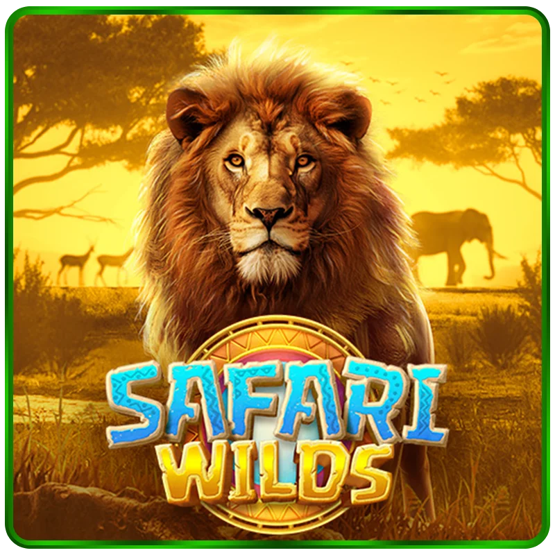 Safari Wilds