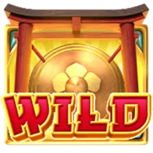 เครื่องหมาย Wild